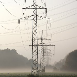 Stromleitungen...... Martina Benning